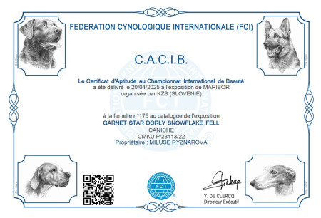 CACIB Maribor 20.4.2025